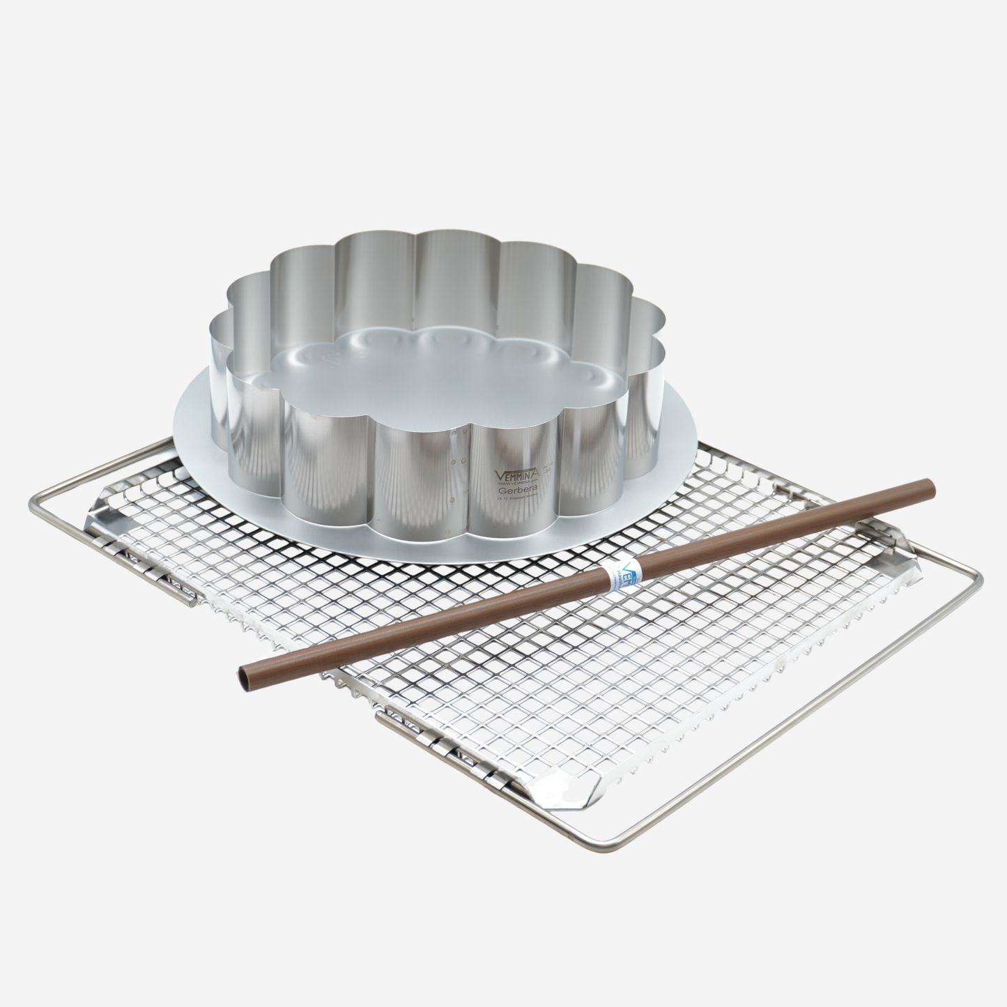 Starter-Set Gerbera (Gerbera, 4-tlg.)