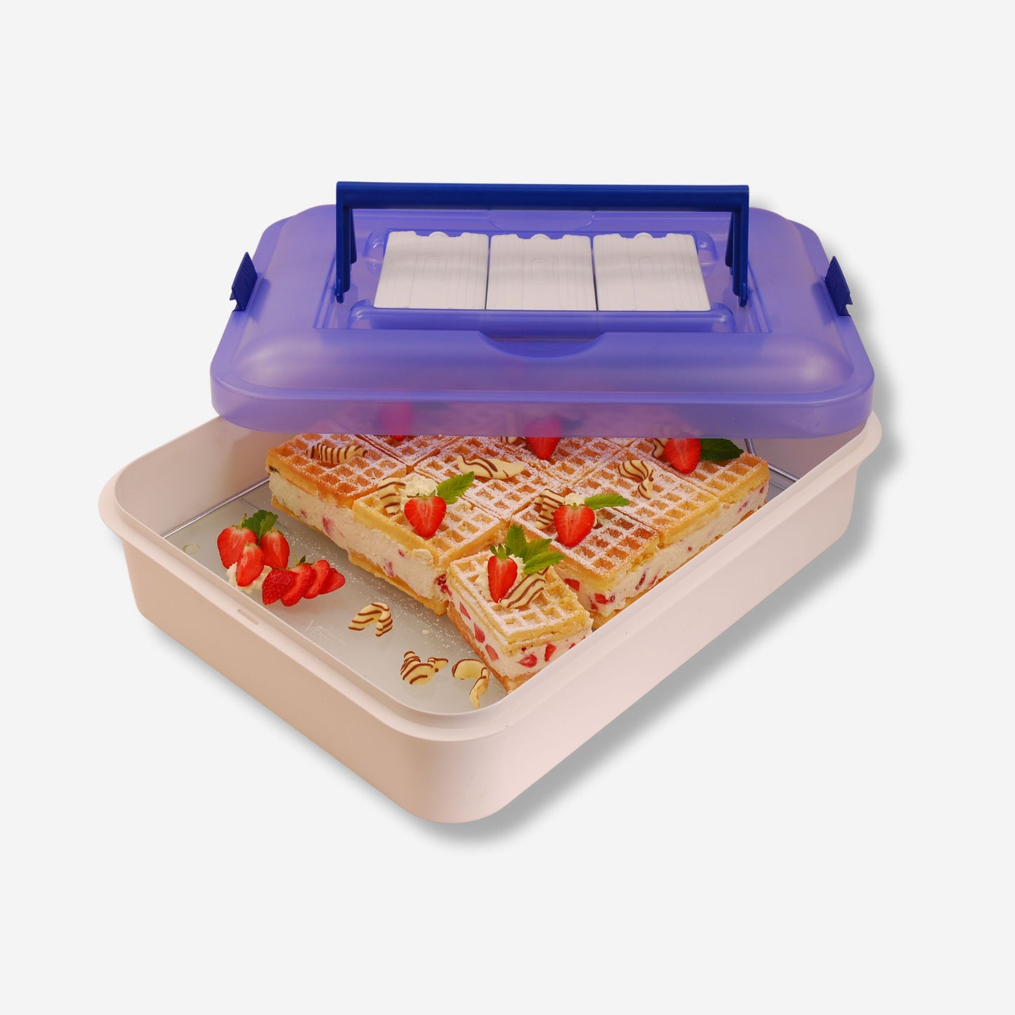 Kit Exclusivo para transportar (Recipiente + Plato)